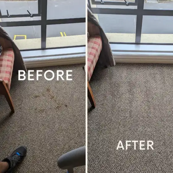 Before and after carpet cleaning result 2
