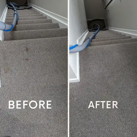Before and after carpet cleaning result 3