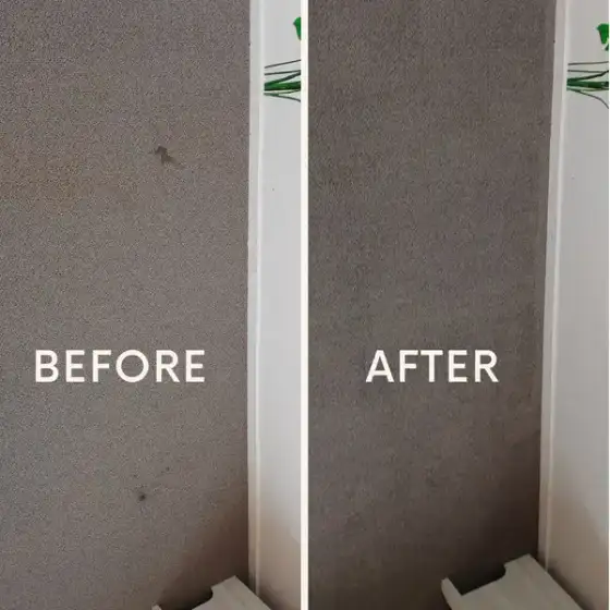 Before and after carpet cleaning result 5